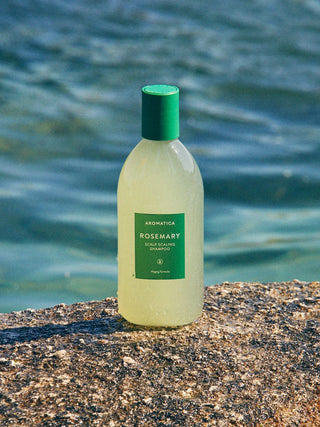Rosemary Scalp Scaling shampoo