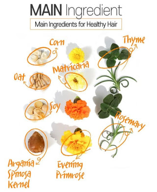 CER-100 Collagen Coating Hair A+ Muscle Essence