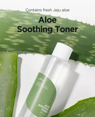 ISNTREE Aloe Soothing Toner, toner, Skin-Nomad