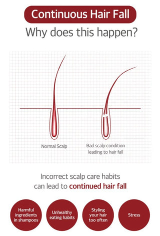 KUNDAL Head Spa & Scalp Care+ Scalp Tonic