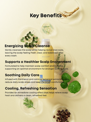 NINE LESS Root-Biome Caffeine Scalp Shampoo — scalp benefits