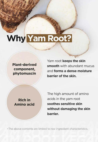 ISNTREE Yam root Vegan Milk Cleanser, cleanser, Skin-Nomad